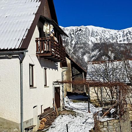Appartement Hikers Hut Hisar à Podbrdo Extérieur photo