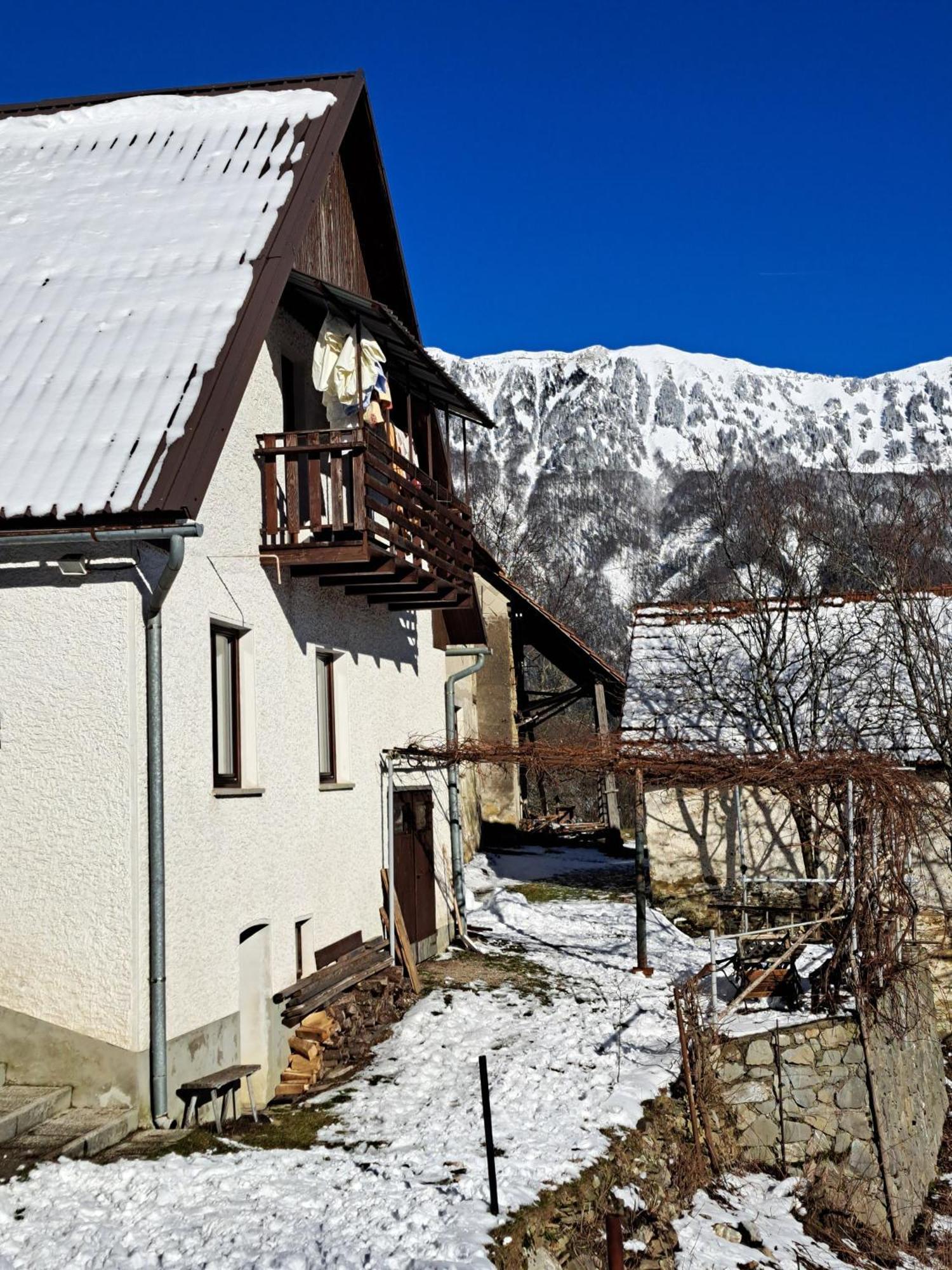Appartement Hikers Hut Hisar à Podbrdo Extérieur photo
