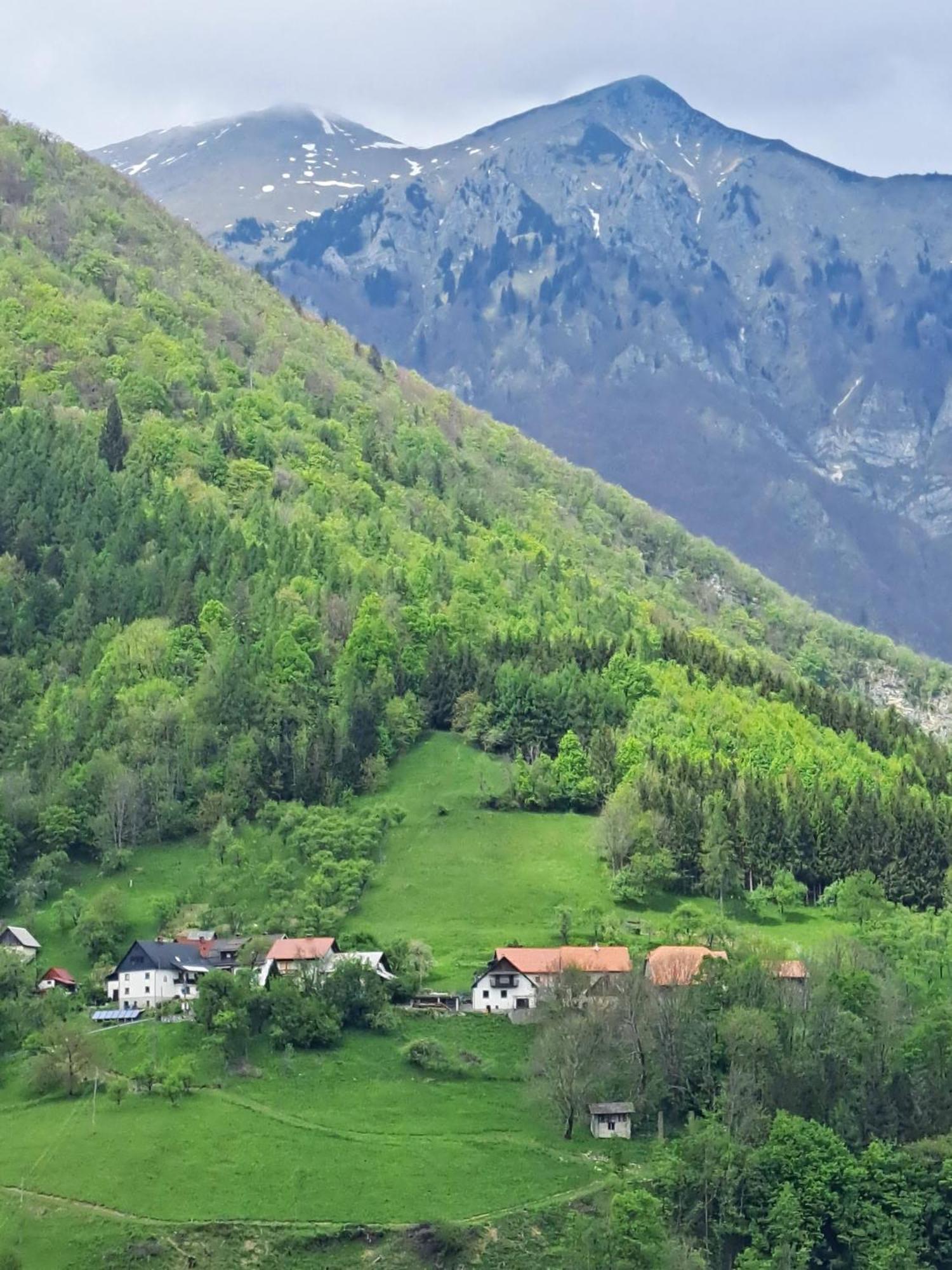 Appartement Hikers Hut Hisar à Podbrdo Extérieur photo
